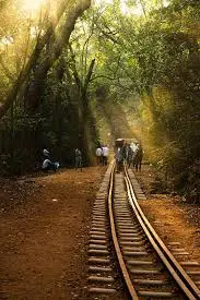 Explore the Natural Charm of Matheran with Our Exclusive Matheran Tour Package